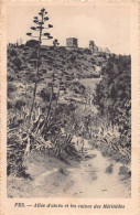 Allée D'aloes Et Les Ruines Des Mérinides - Fez - Fez (Fès)