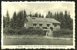 Belgique - Liège - Hockai - Auberge Des Amis De La Nature - Route De Mont-Xhoffraix - Stavelot