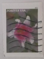 VEREINIGTE STAATEN ETATS UNIS USA 2021 GARDEN FLOWERS: ASIATIC LILY F USED ON PAPER SN 5565 MI 5798 YT 5407 - Gebruikt