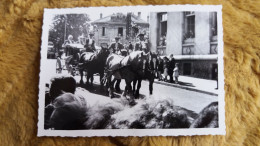 PHOTO AGFA NANCY 22 MAI 1966 DEFILE ATTELAGE CHEVAL CHEVAUX  ANIMATION FOULE   FORMAT 7 PAR 10 CM - Personas Anónimos