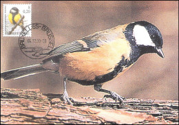 CM/MK° - 2966 - Mésange Charbonnière / Koolmees / Große Meise / Great Tit - BXL/BSL - 04.12.00 - BUZIN - 1985-.. Oiseaux (Buzin)