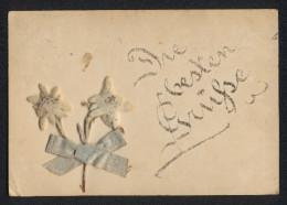 Trockenblumen-AK Zwei Getrocknete Blüten Mit Einer Schleife  - Autres & Non Classés