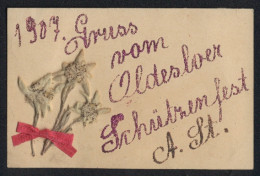 Trockenblumen-AK Oldesloe, Drei Getrocknete Blüten, Gruss Vom Schützenfest 1907  - Autres & Non Classés