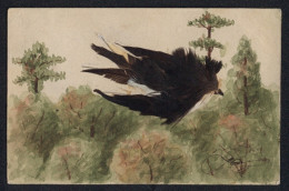 Echtfedern-AK Vogel Aus Echten Federn Fliegt über Den Wald  - Sonstige & Ohne Zuordnung