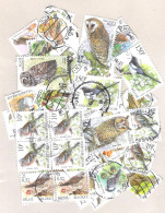 Belgique - Lot 60 Timbres "Oiseaux Buzin" - Vogels - Birds - 1985-.. Uccelli (Buzin)