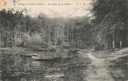 D9978 étang De Saint Cucufa - Otros & Sin Clasificación
