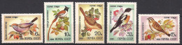 Russia USSR 1981 Song Birds. Mi 5103-07 - Passereaux