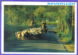 Carte Postale 65. Argeles  Berger à Cheval Et Son Troupeau De Moutons Très Beau Plan - Argeles Gazost