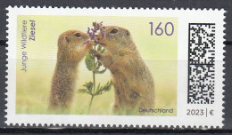 Año 2023  Nº3562 Fauna - Unused Stamps