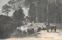 CHARMONT ( 95 ) - Entrée Du Village - Autres & Non Classés