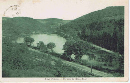 NIEVRE - MOUX - Un Coin De L'Etang-Neuf - Impr.-Phot Henri Basuyau - Altri & Non Classificati