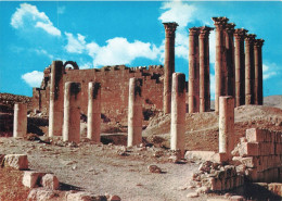 JORDANIE -  Jerash - Ruines Anciennes Avec Plusieurs Colonnes - Colorisé - Carte Postale - Jordania