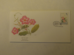 HUNGARY FDC COVER 1991 - Other & Unclassified