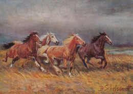 CARTOLINA  C16 ANIMALI-CAVALLI,CANI,ASINO,DELFINI,GATTI,FARFALLE,ORSI,MUCCHE,LEONI,MAIALI,NON VIAGGIATA - Chevaux