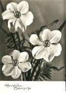 Postcard Flower Scene - Blumen
