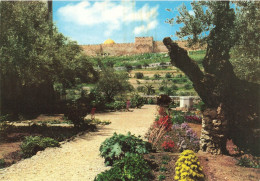 ISRAEL - Jerusalem - View From Garden Of Gethsemane To Golden Gate - Colorisé - Carte Postale - Israel