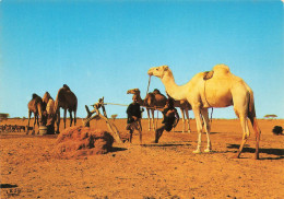 MALI - Puits Dans Le Sahel - Colorisé - Carte Postale - Malí