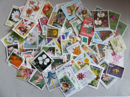 LOT DE 100 TP DIFFERENTS THEME "FLEURS" - Other & Unclassified