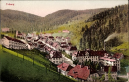 CPA Triberg Im Schwarzwald, Blick Auf Den Ort, Wald, Berge - Autres & Non Classés
