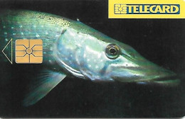 Czech Republic: Spt Telecom - 1997 Fish Pike - Tchéquie