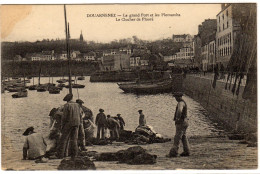 Douarnenez Le Grand Port Et Les Plomarchs - Douarnenez