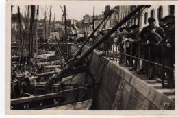 Douarnenez Groupe De Pecheurs Sur Le Port - Douarnenez