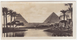 Cairo. Innondation At The Pyramids - (Egypt) - No. 3 - Zogolopoulo Frères, Cairo - (Size: 15 Cm X 7.5 Cm) - Caïro