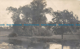 R104134 Lake. Trees. Old Photography. Rotary Real Photographs. 1911. Postcard - Monde