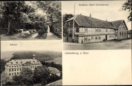 CPA Liebenburg Am Harz, Gasthaus Albert Dannenbaum, Garten, Schloss - Autres & Non Classés