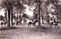 78 -  MAISONS LAFFITTE - L Entrainement Des Chevaux De Course - Maisons-Laffitte