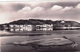 49 - Maine Et Loire -  SAINT MARTIN  De La PLACE -   La Loire Et Chenehutte - Sonstige & Ohne Zuordnung