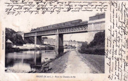 49 - Maine Et Loire -  SEGRE - Pont Du Chemin De Fer - Segre