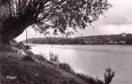 49 - Maine Et Loire -  SAINT MARTIN  De La PLACE - Une Vue Des Bords De La Loire - Sonstige & Ohne Zuordnung