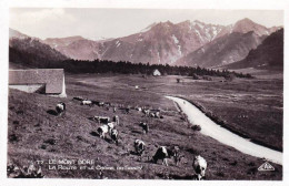 63 - Puy De Dome - LE MONT DORE   -   La Route Et La Chaine Du Sancy -  Carte Glacée - Le Mont Dore