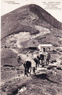 63 - Puy De Dome - LE MONT DORE  - Le Sommet Du Sancy - Excursion A Dos D Ane - Le Mont Dore