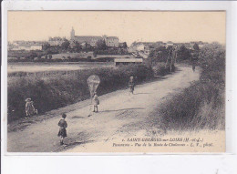 SAINT-GEORGES-sur-LOIRE: Panorama, Vue De La Route De Chalonnes, Cerf-volant - Très Bon état - Saint Georges Sur Loire