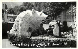 - Dpts Div. -ref-BN454- Haute Garonne - Luchon -photo Allix - Fête Des Fleurs -char Ours Polaire Et Pingouins -  Fêtes - Luchon