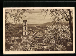 AK Saarbrücken, Teilansicht Im Frühling  - Saarbruecken