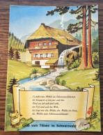 Carte Postale Titisee - Forêt Noire - Ohne Zuordnung