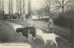 - Dpts Div. -ref-BN448- Loir Et Cher - Sologne - N° 36 - Une Gardeuse De Chèvres - - Andere & Zonder Classificatie