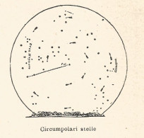 Stelle Circumpolari - Xilografia D'epoca - 1926 Old Engraving - Stiche & Gravuren