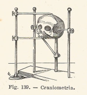 Craniometria - Xilografia D'epoca - 1926 Old Engraving - Estampes & Gravures