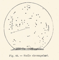 Stelle Circumpolari - Xilografia D'epoca - 1926 Old Engraving - Estampes & Gravures