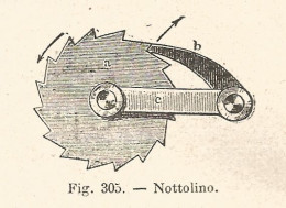 Nottolino - Xilografia D'epoca - 1928 Old Engraving - Stiche & Gravuren