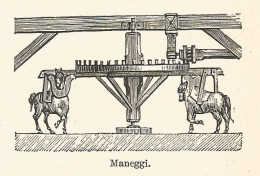 Maneggi - Xilografia D'epoca - 1928 Old Engraving - Prints & Engravings