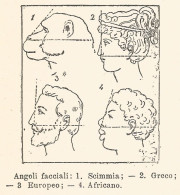 Angoli Facciali - Xilografia D'epoca - 1924 Old Engraving - Stiche & Gravuren