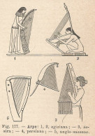 Varietà Di Arpe - Xilografia D'epoca - 1924 Old Engraving - Stiche & Gravuren