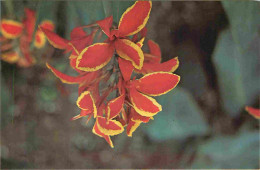 Inde - Urban Council - Fleurs - India - CPM - Carte Neuve - Voir Scans Recto-Verso - Inde