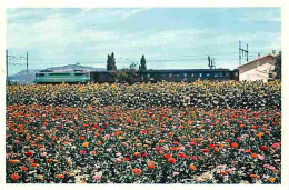 Trains - Editions La Vie Du Rail - Fleurs Dans La Vallée Du Rhone - Carte Neuve - CPM - Voir Scans Recto-Verso - Trains