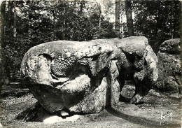 77 - Fontainebleau - Forêt De Fontainebleau - Apremont - L'Elephant - CPSM Grand Format - Curiosité Géologique - CPM - V - Fontainebleau